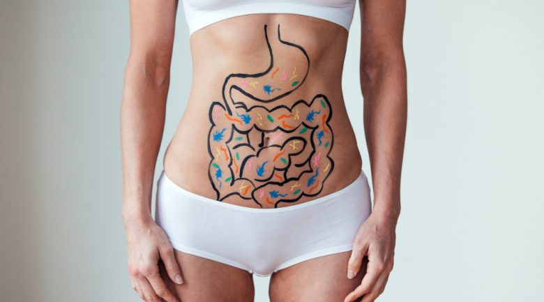 The ageing gut and how it impacts and health and wellness