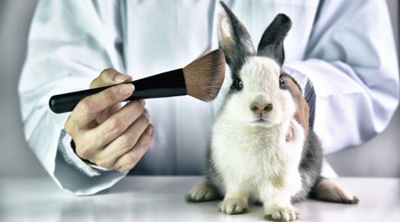 China approves animal testing alternatives