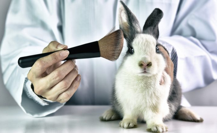 China approves animal testing alternatives