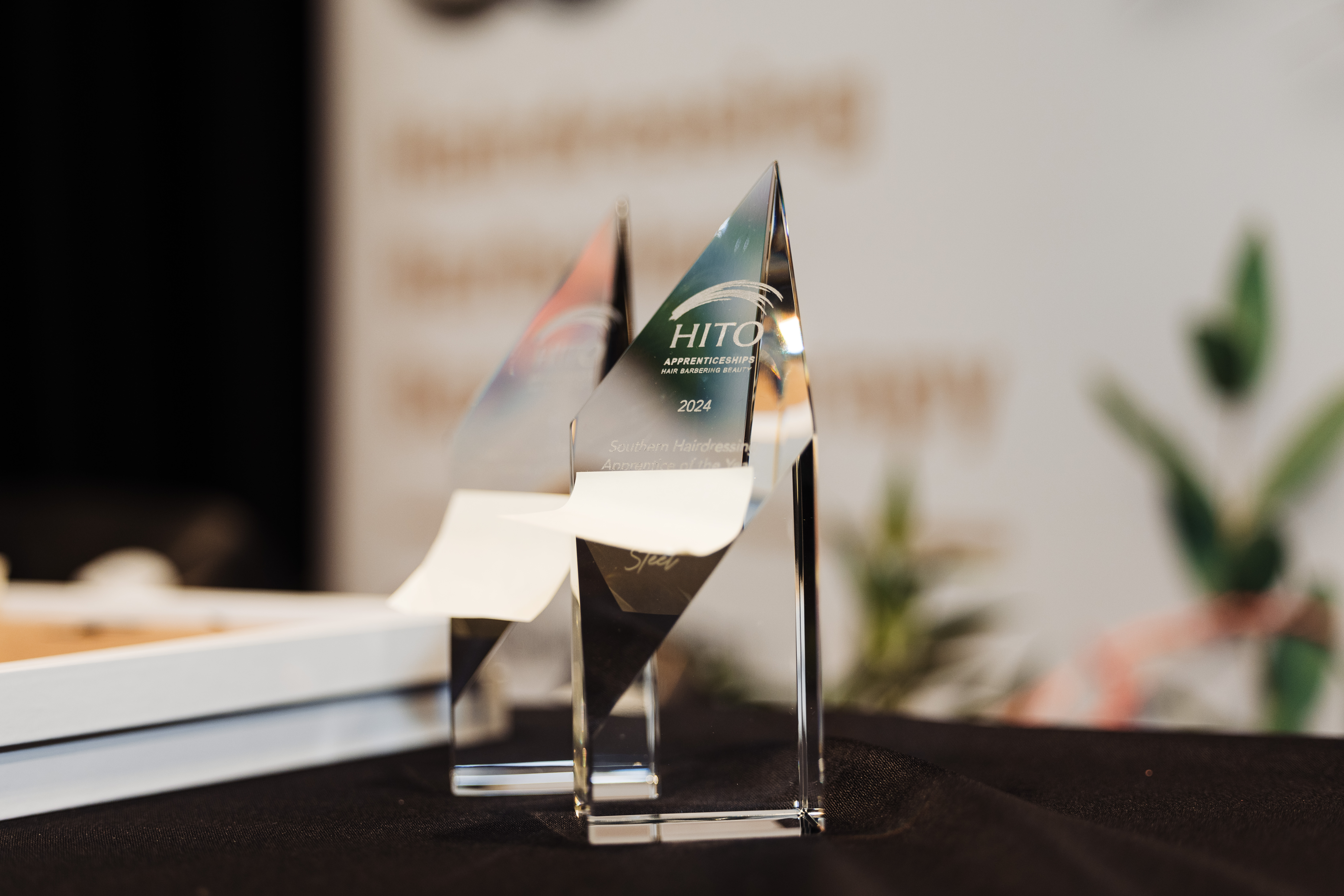 Winners Announced for HITO’s 2024 Apprentice of the Year Awards