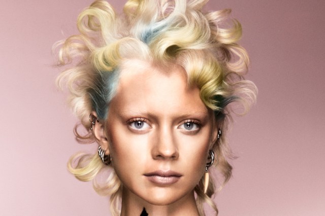 View the British Colour Technician of the Year Collection